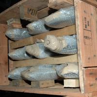 MC15-19Nov2007 179_CMP_WM